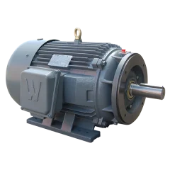 Premium Efficient Severe Duty Motor with C-Face