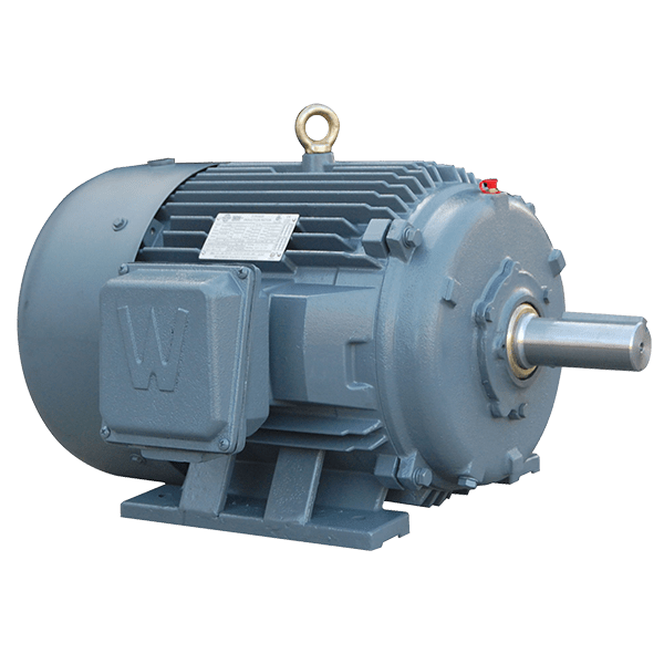 PEWWE500-12-586/7UZ Severe Duty Motor