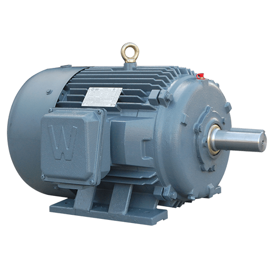 WWE600-18-586/7UZ-IB Severe Duty Motor