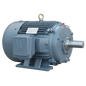 PEWWE500-12-586/7UZ Severe Duty Motor